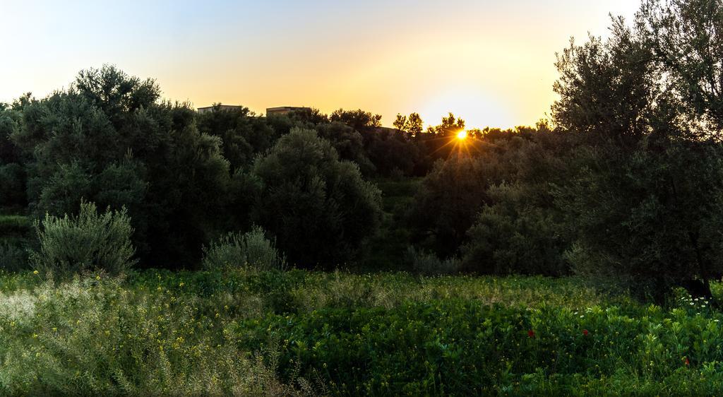 Riad Sougtani Tazrou Esterno foto