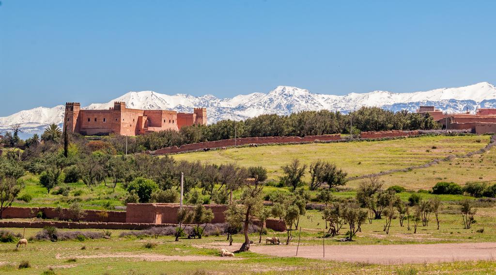 Riad Sougtani Tazrou Esterno foto
